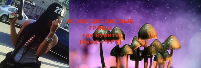 где купить   ссылка на мегу рабочий сайт  Галлюциногенные грибы Magic Shrooms  Лосино-Петровский 